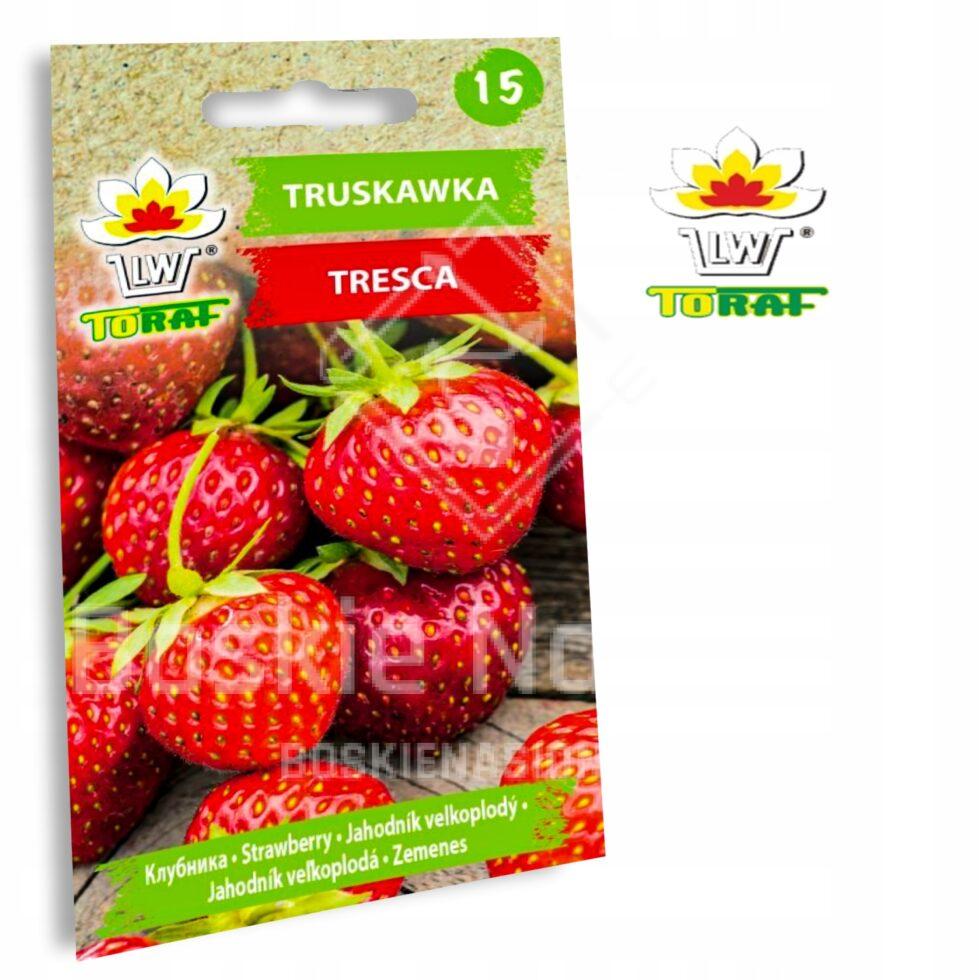 nasiona truskawki