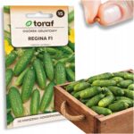 9b21f6edbcfa820f76e977d0e9f3ed6c