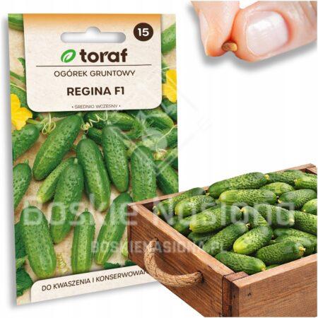 9b21f6edbcfa820f76e977d0e9f3ed6c