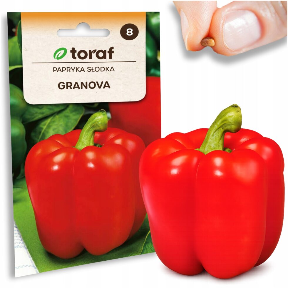 84769d158c75e8d3013f0e646a0bc8e6