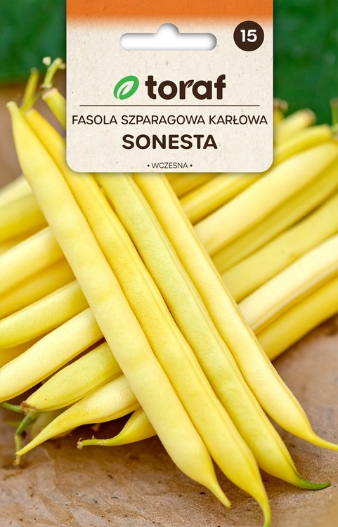 f8dde4ac0acb44a4a64584405569ff0f