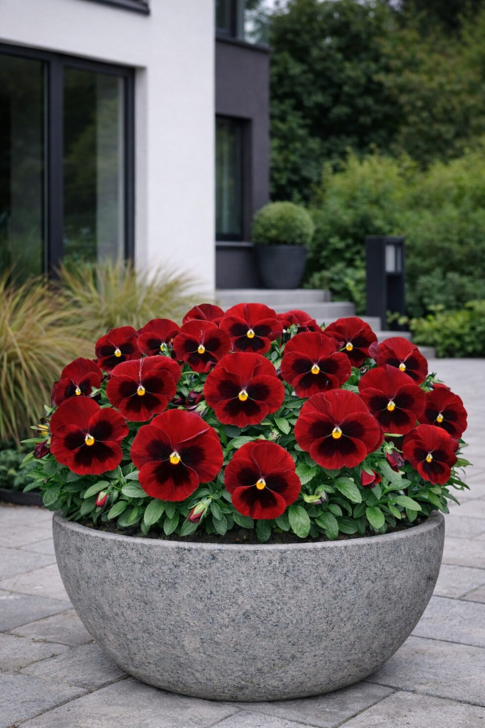 818e914e28761954be9de89fc1e8b629