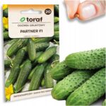 d312e6833b334836db436a9ea27cf0f6