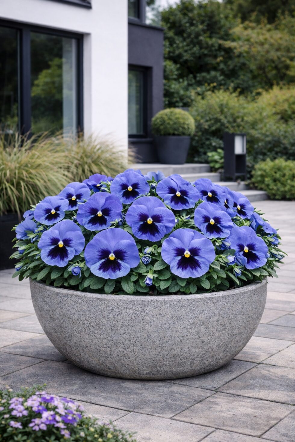 6ee1a70267d640700f11062bf6fa8af8