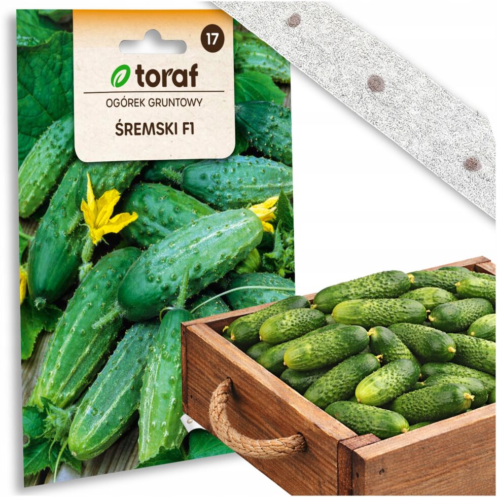 478ef3bd02963ffaafc32c62ee8892d1