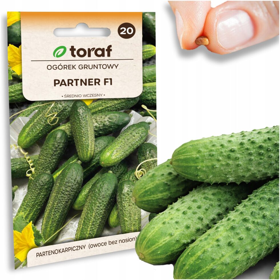 d312e6833b334836db436a9ea27cf0f6