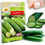 84f7128422509a6d015c6fa5516dd6d7