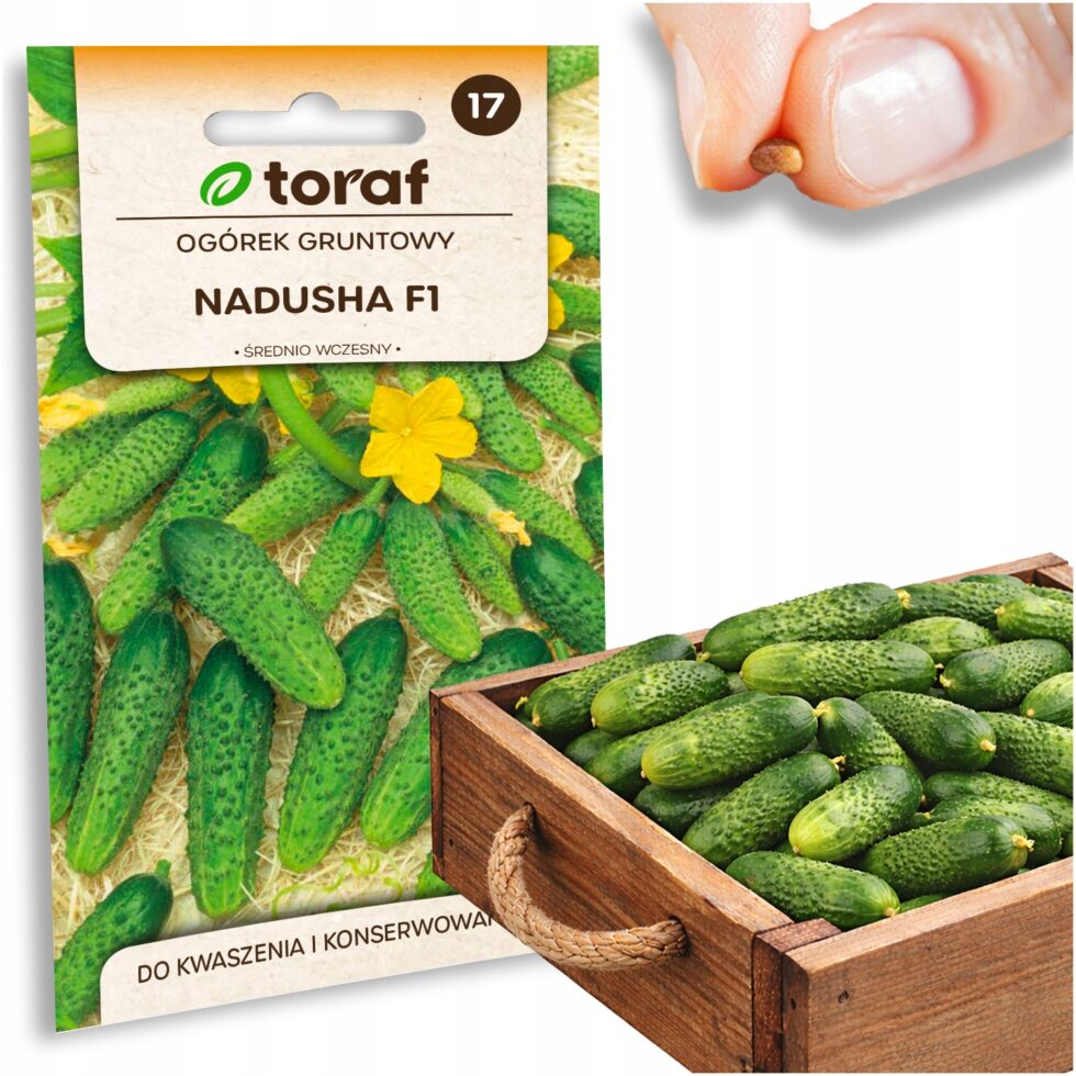 9f1773a84e7b3e32d4a43eff6ecdb99f