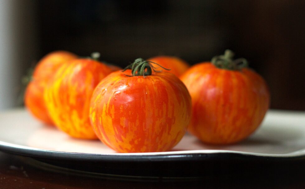 d09a95c44db25629f079b5421ade4d69