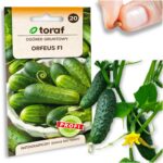 c1abc0f632c282ba1c6753129446c528