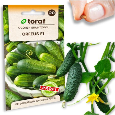 c1abc0f632c282ba1c6753129446c528