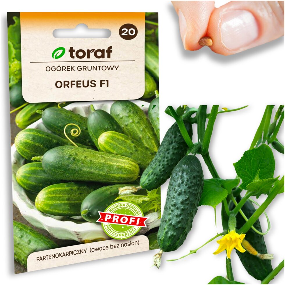 c1abc0f632c282ba1c6753129446c528