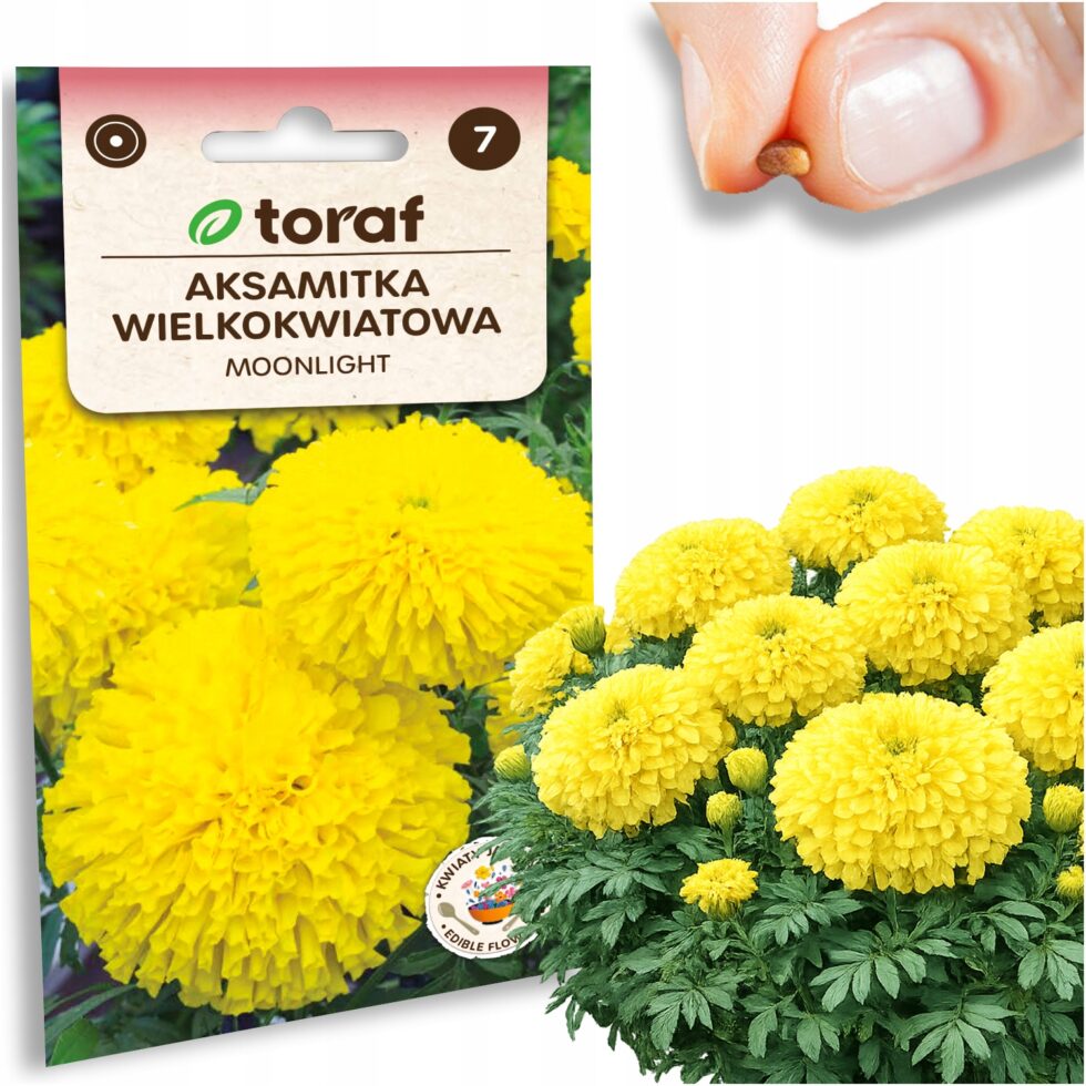 24729dee00bc4707251ffd45488fbde2