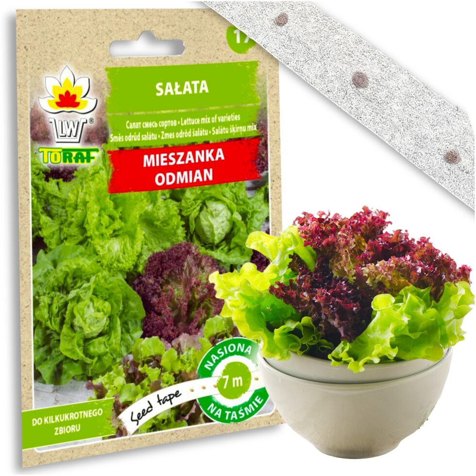 424c90c77bdb229c6bdfe19993cd8c75