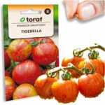 607103f2a3f6aa4591d9362f5e6358d5