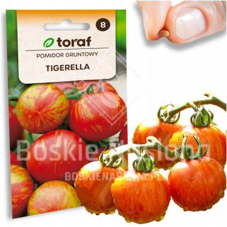 607103f2a3f6aa4591d9362f5e6358d5