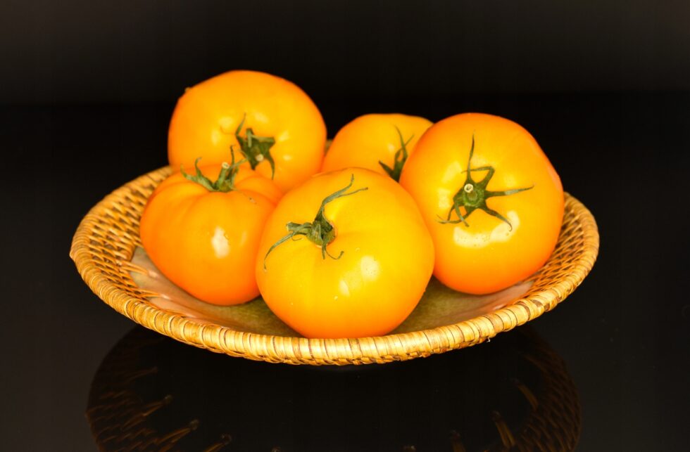 a88978bf4480e762a3fbeea88d9848f1