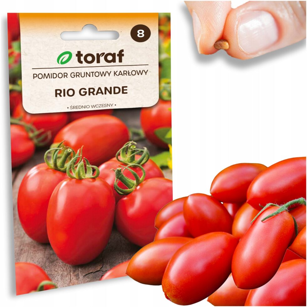 d26150194e23846cf7a3c46bbd2c5a07