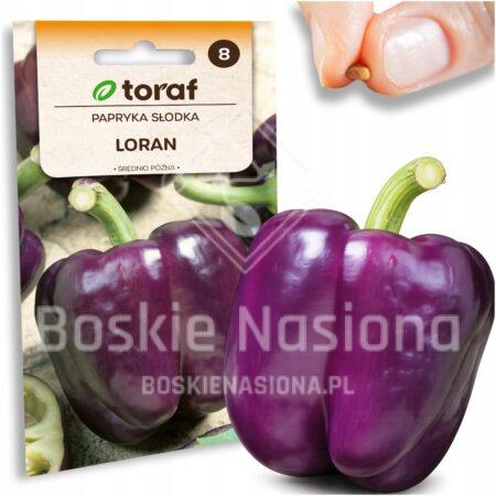 11db55d3dadbeb67491d822ae7122756