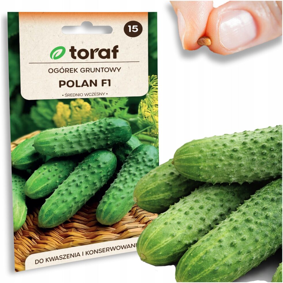 ca80da314bc5e2420ba894465386f40f