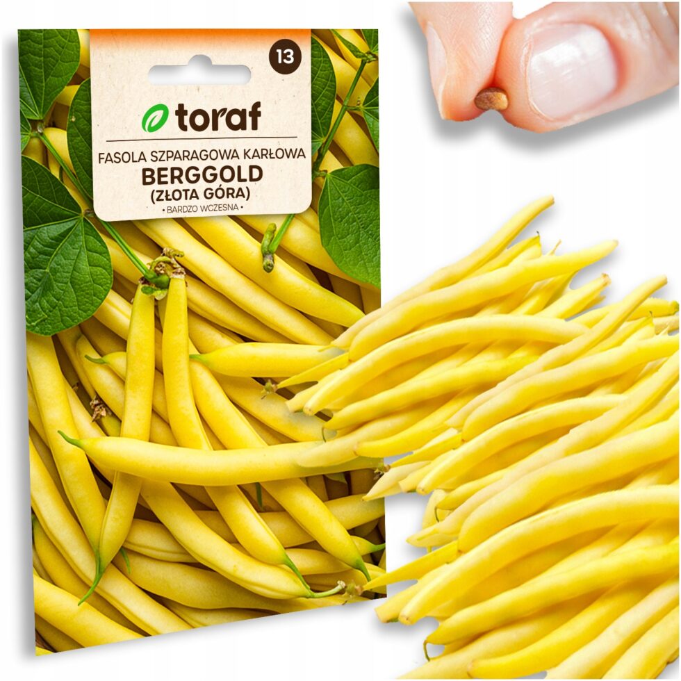 cf27b238a9306b7e41cec7bcd504a7e9