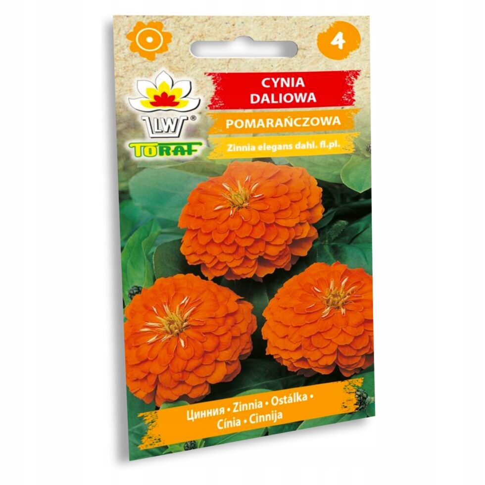 807ada9490c2511f7e3032b0ad57e330