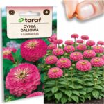 47b377ccd3a9246e7310d781c04b0d75