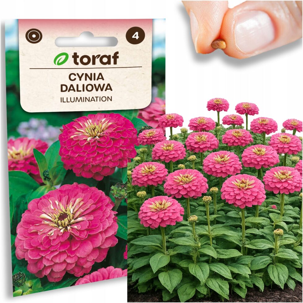 47b377ccd3a9246e7310d781c04b0d75