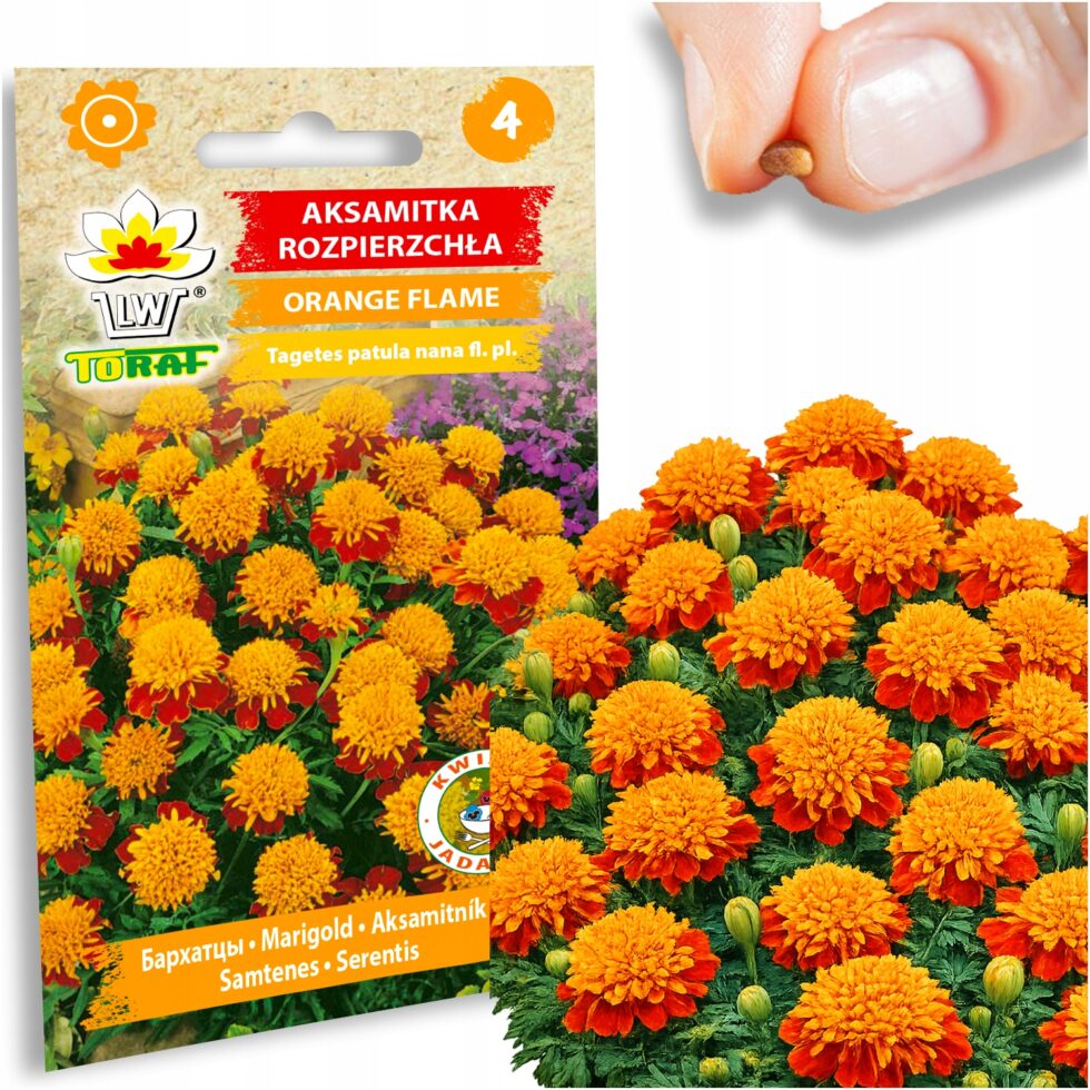 5162933844fb9e2d14c50a717e576790