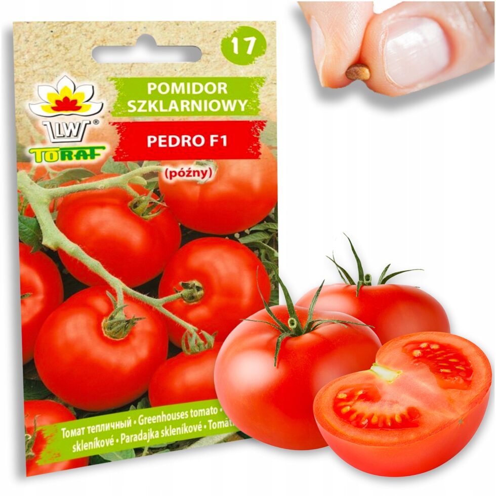 ccff88c4bd1a438e6d36015a2d931604