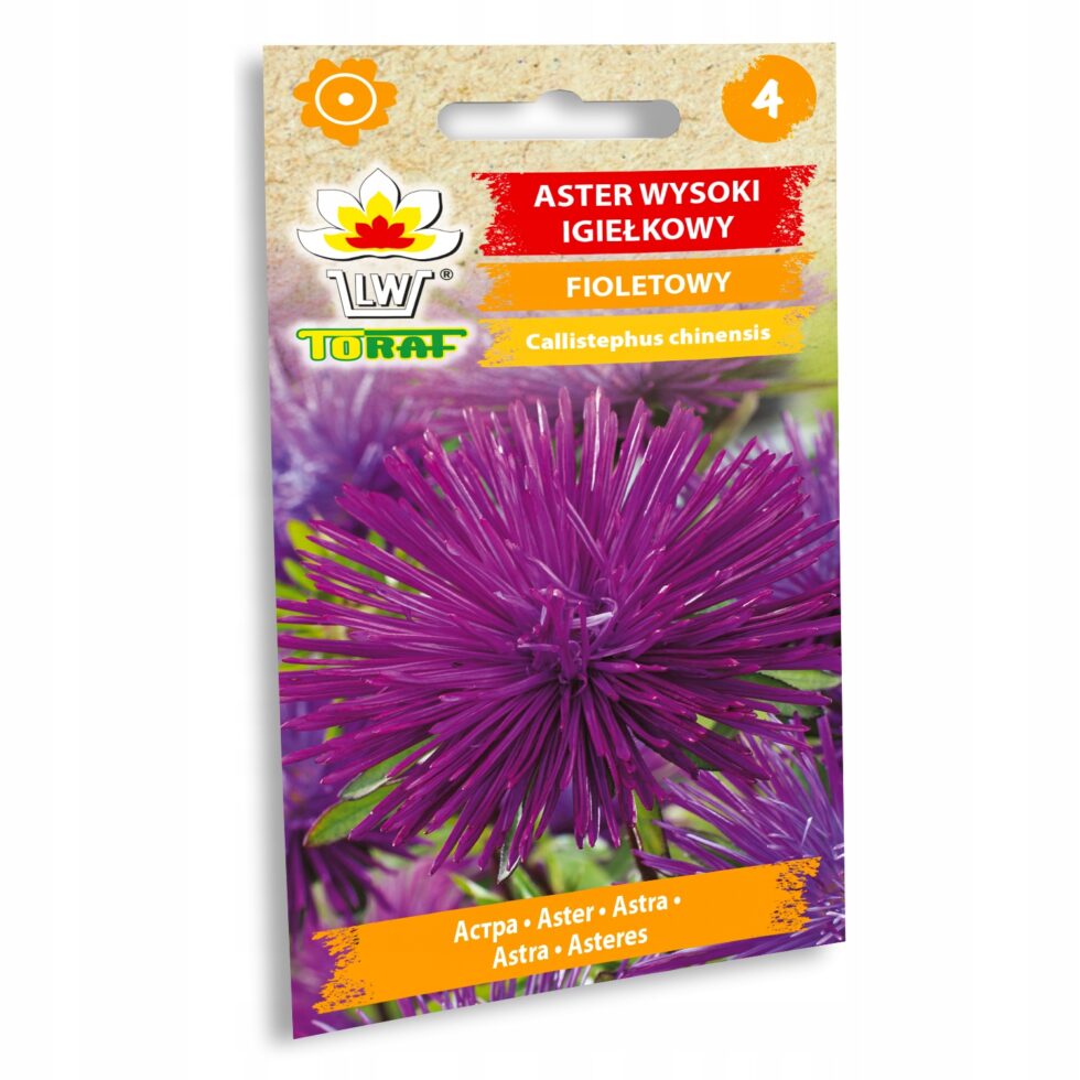 b82f86fb6b02698638d486ed0491080d