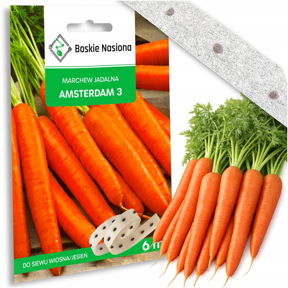 43c7456a3ad356ed72b4f9d2869b704e