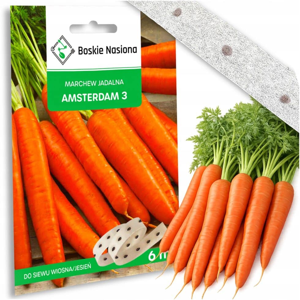 43c7456a3ad356ed72b4f9d2869b704e