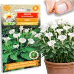 6b0c10d20ac26dd1d546d94ccaad1d13