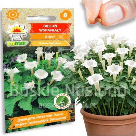 6b0c10d20ac26dd1d546d94ccaad1d13