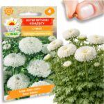 14a8f485b2e703d4667b000ee49d18a9