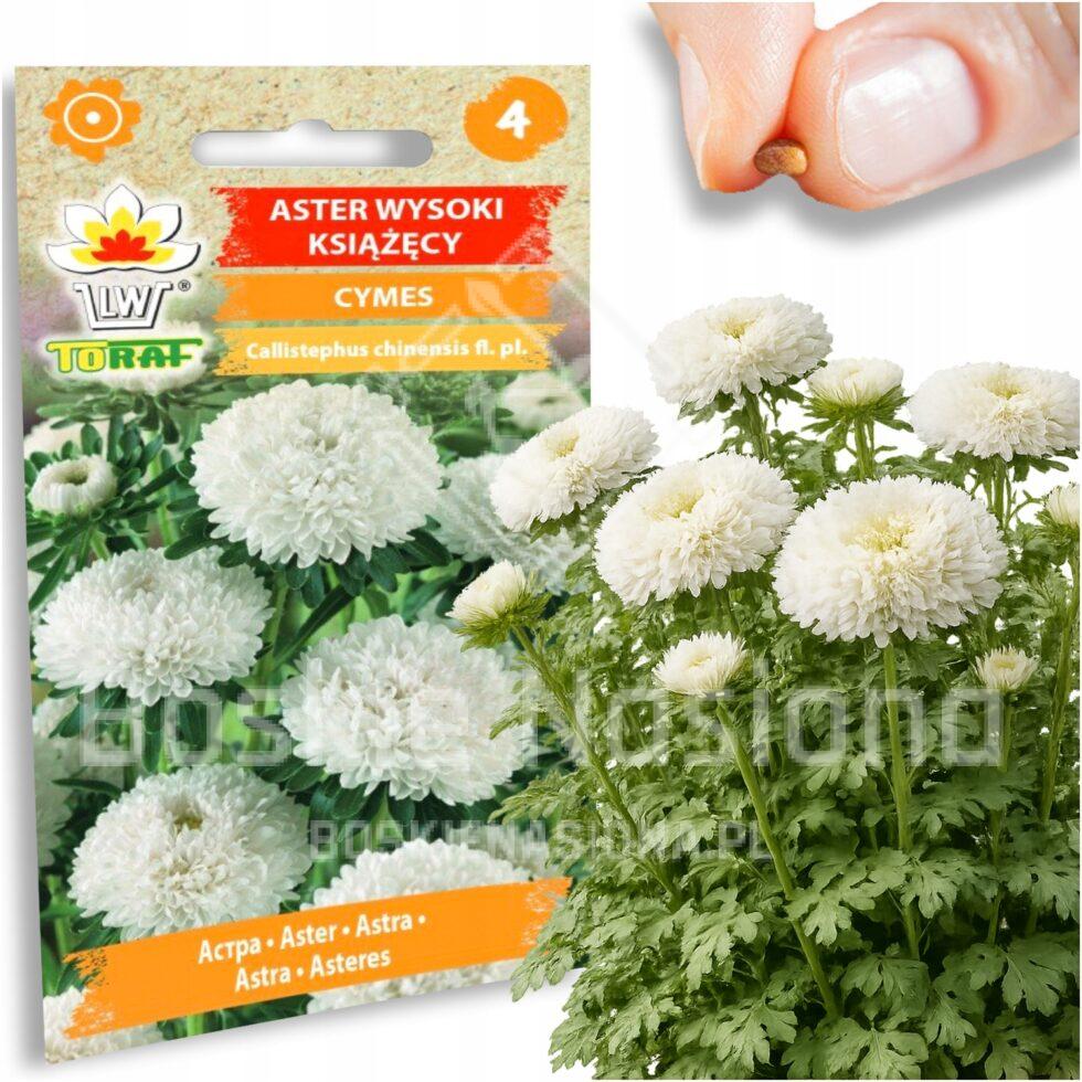 14a8f485b2e703d4667b000ee49d18a9