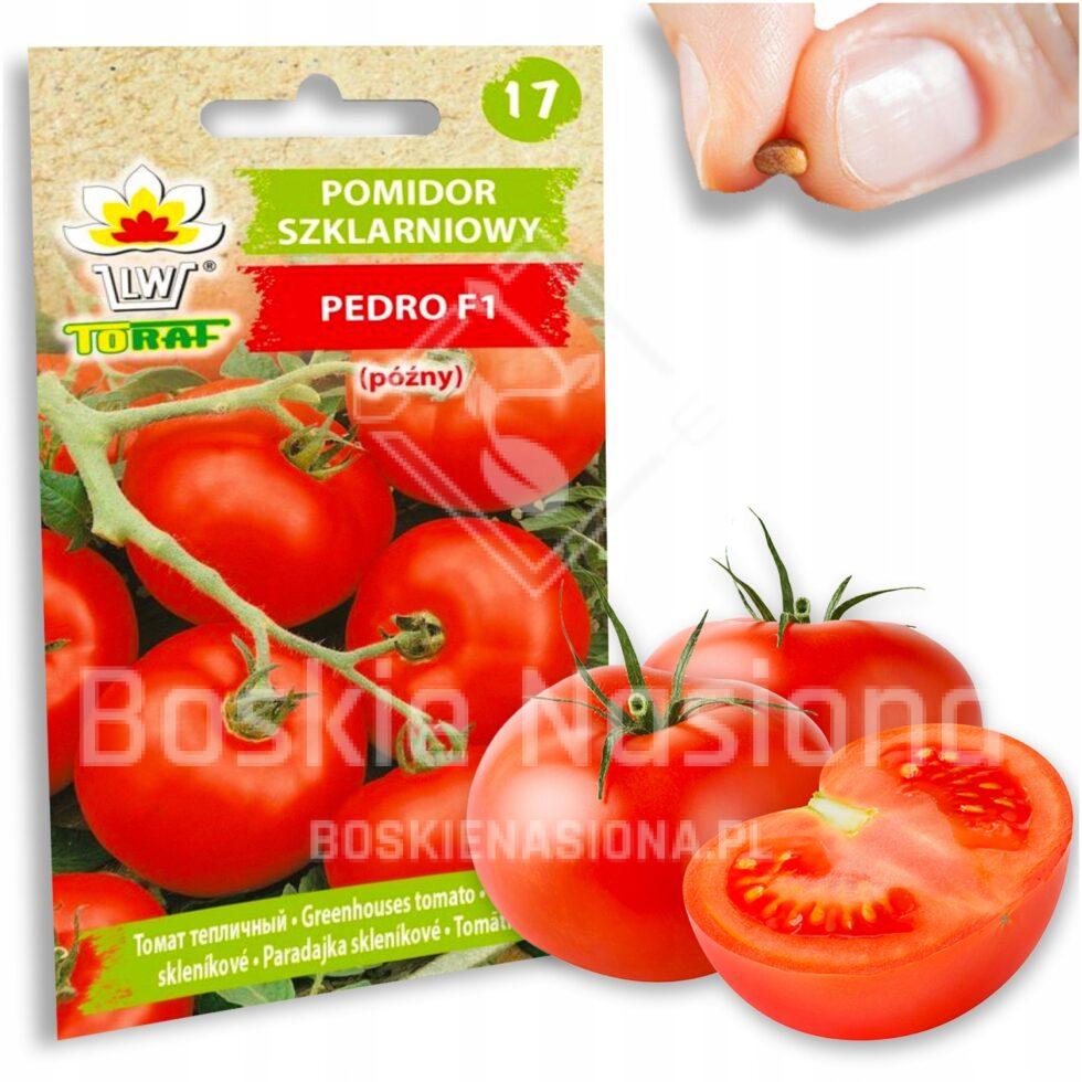 ccff88c4bd1a438e6d36015a2d931604