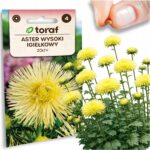 e176a1295b002a33b67096d4593666a4