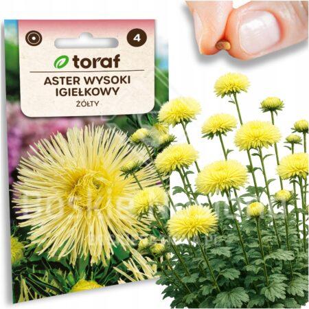 e176a1295b002a33b67096d4593666a4