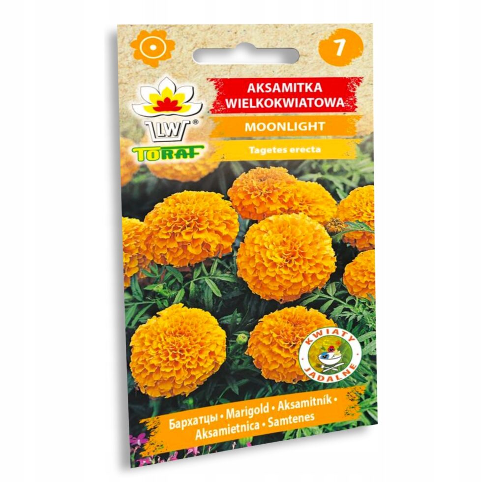 ce18ebe656241217fa860967bc989175