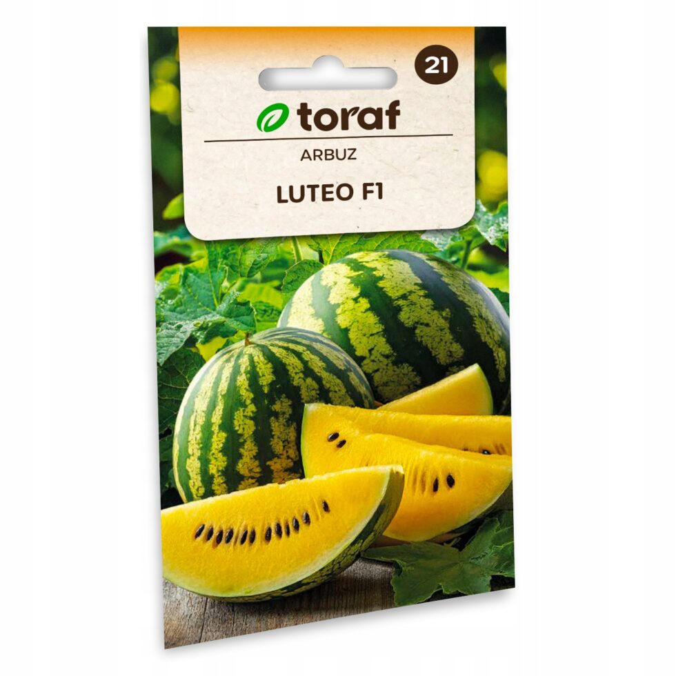 43a44c3458809bc0cc33832495472400