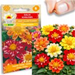 5d83b2d7fab9e08638f7315e93ae35ad