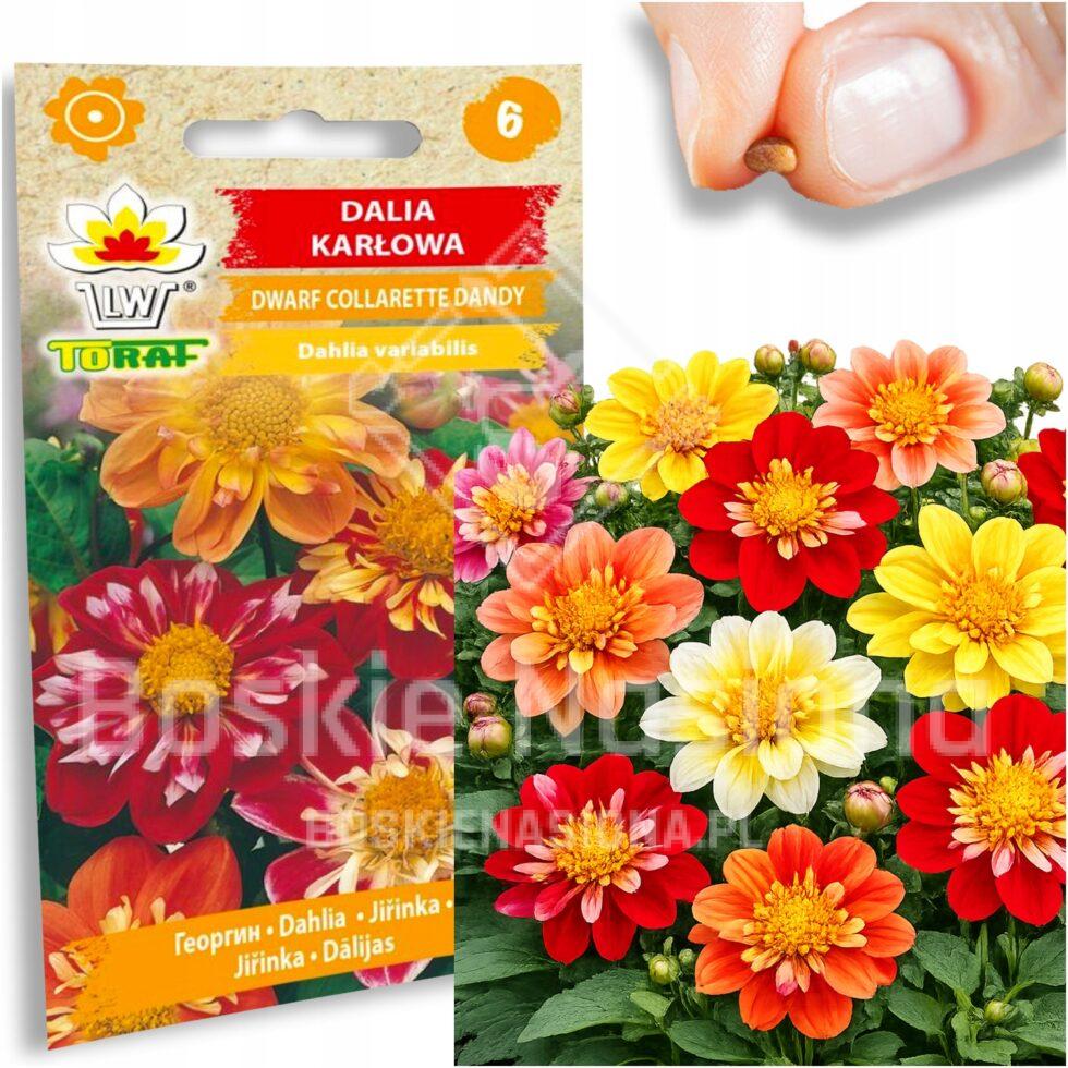 5d83b2d7fab9e08638f7315e93ae35ad