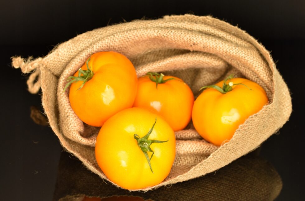 3708e3f81034e4cbe2245a4bc5491914