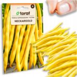 5831c2dc2135afa80ebf59f4d9acbf44