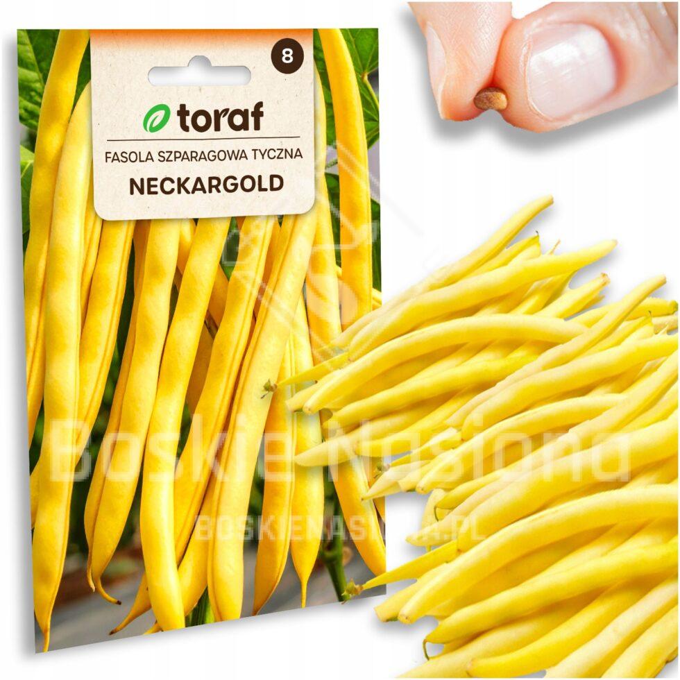 5831c2dc2135afa80ebf59f4d9acbf44