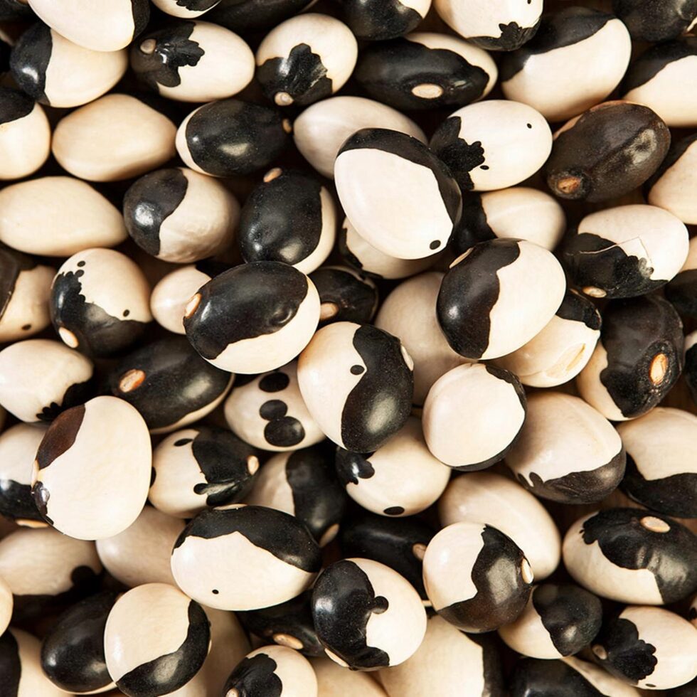 a08f64bbd834bc2dd5fa88a1d815780b