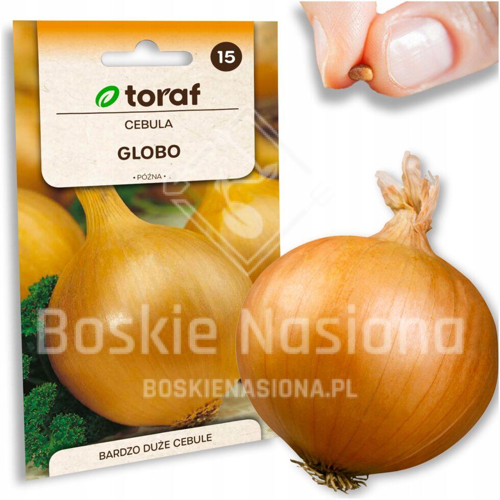 0237fbfc68a5ef964ba517977fc7da93