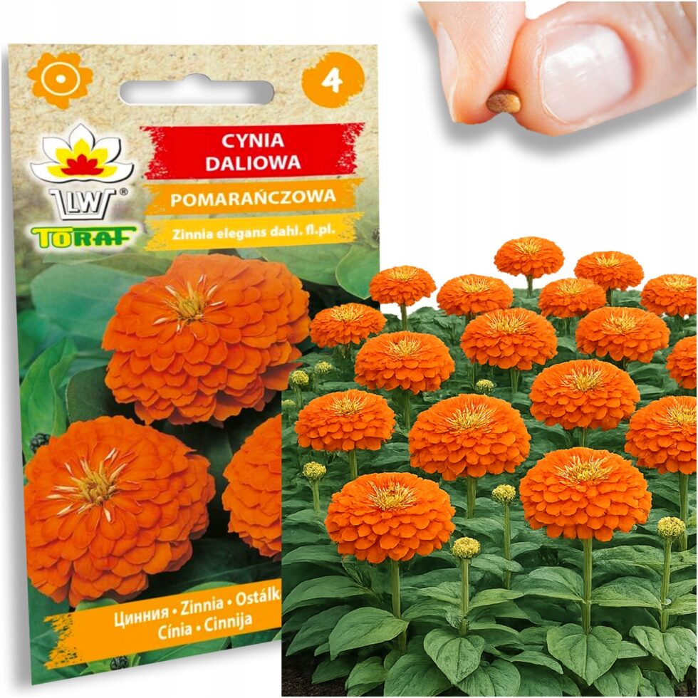 787066594d9ff586308b922be4c174d1